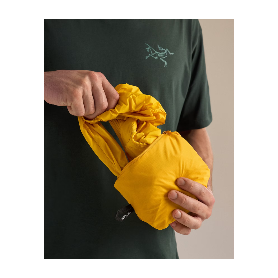 Arc'teryx Men's Squamish Hoody Larch
