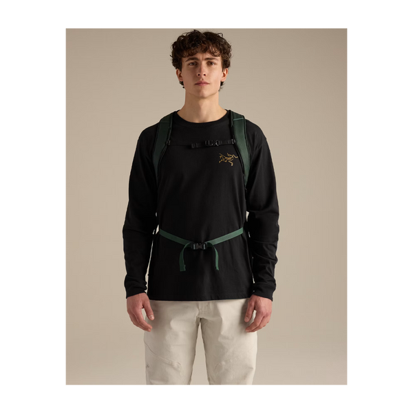 Arc'teryx Mantis 26 Backpack Dark Jade/Mongoose