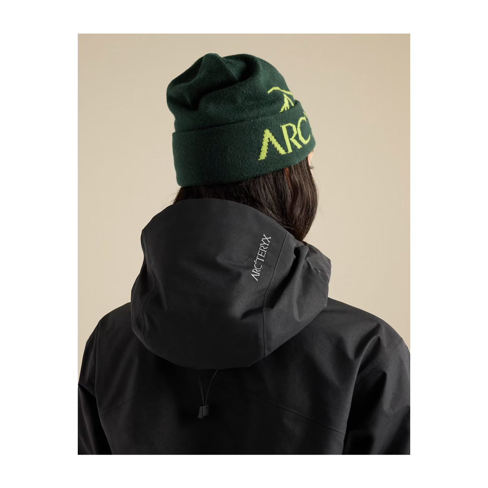 Arc'teryx Bird Word Toque Dark Jade/Mantis