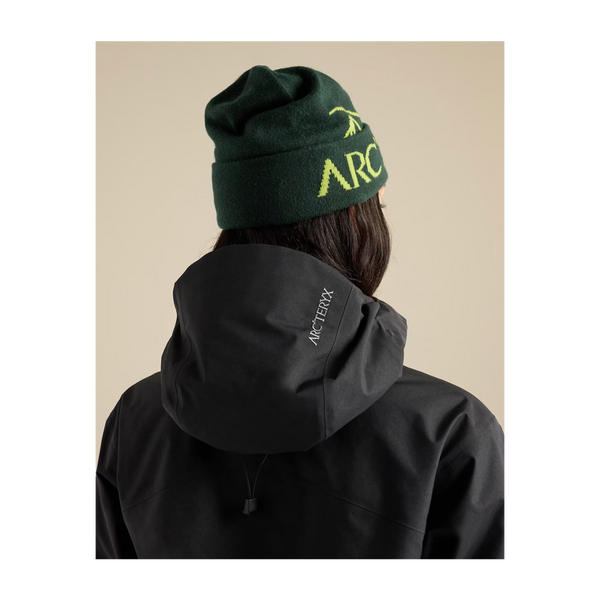 Arc'teryx Bird Word Toque Dark Jade/Mantis