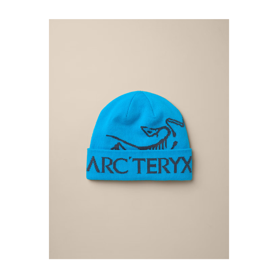 Arc'teryx Bird Word Toque Aquaculture/Black Sapphire