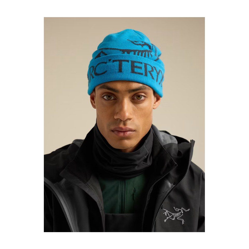 Arc'teryx Bird Word Toque Aquaculture/Black Sapphire
