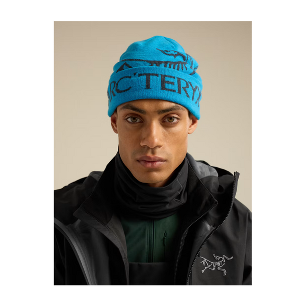 Arc'teryx Bird Word Toque Aquaculture/Black Sapphire