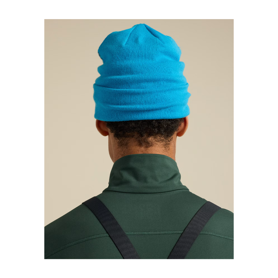 Arc'teryx Bird Word Toque Aquaculture/Black Sapphire