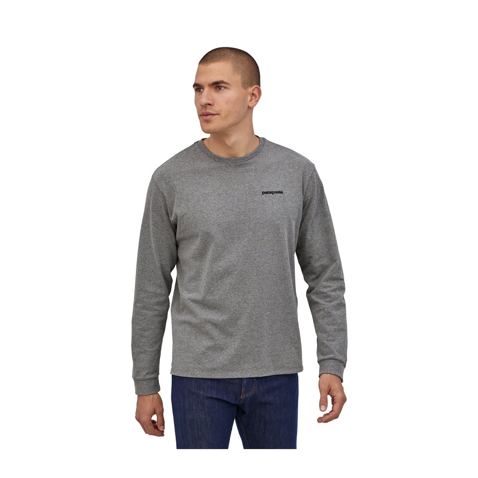 Patagonia best sale ls tee